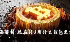 : 全面解析：现在转U用什么钱包更安全？