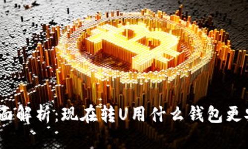 : 全面解析：现在转U用什么钱包更安全？