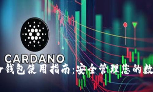Ledger钱包使用指南：安全管理您的数字资产