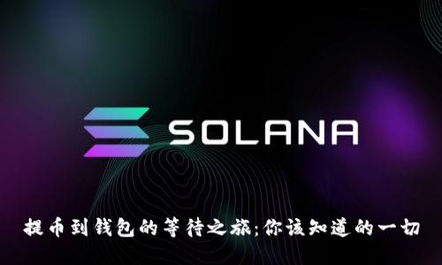 提币到钱包的等待之旅：你该知道的一切