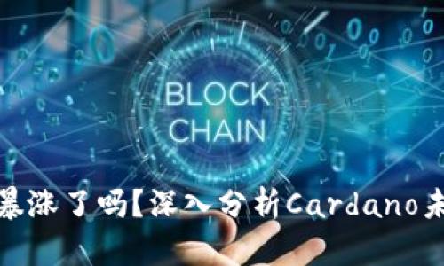 ADA要暴涨了吗？深入分析Cardano未来潜力