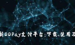 全面解析DDPay支付平台：下载、使用及安全性
