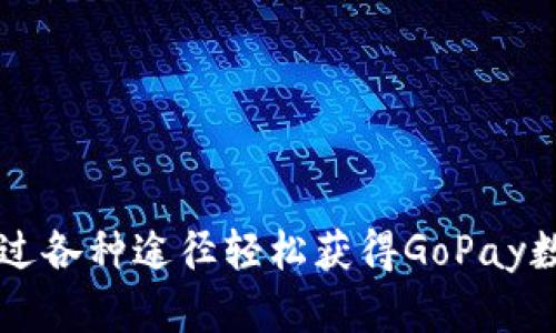如何通过各种途径轻松获得GoPay数字货币