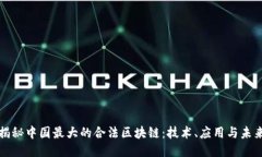 揭秘中国最大的合法区块链：技术、应用与未来