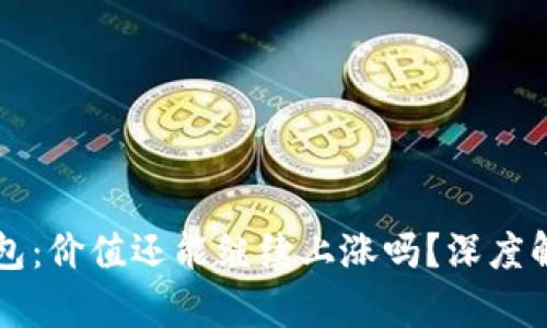 虚拟币存放钱包：价值还能继续上涨吗？深度解析与风险理解