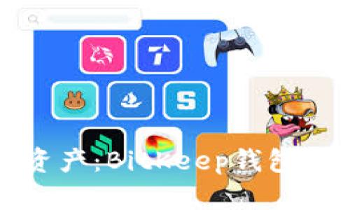 轻松掌控你的数字资产：BitKeep钱包手机版下载安装指南