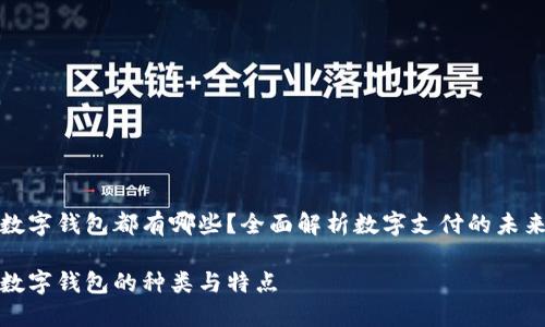数字钱包都有哪些？全面解析数字支付的未来

数字钱包的种类与特点