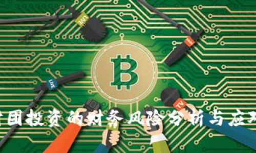 REC财团投资的财务风险分析与应对措施