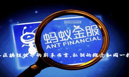 只有私钥可以找回钱包吗？深度解析数字钱包安全

在如今这个数字资产交易日益频繁的时代，数字钱包的安全性成为了每一个投资者关注的焦点。特别是对于那些初入区块链世界的新手而言，私钥的概念如同一把开启财富大门的钥匙。那么，只有私钥才能找回钱包吗？这个问题看似简单，实则蕴含着深刻的安全知识和技术原理。

Unlocking Your Crypto Wallet: The Essential Role of Private Keys