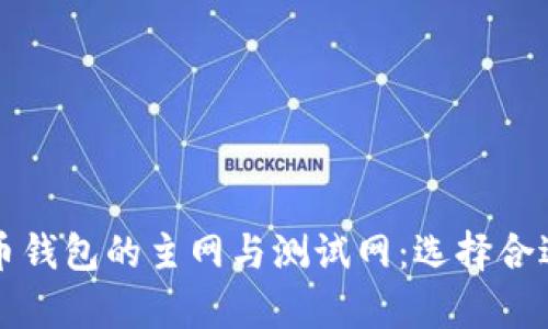 全面解析加密货币钱包的主网与测试网：选择合适钱包的实用指南