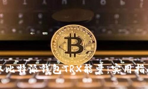 如何获取比特派钱包TRX能量：实用指南与技巧