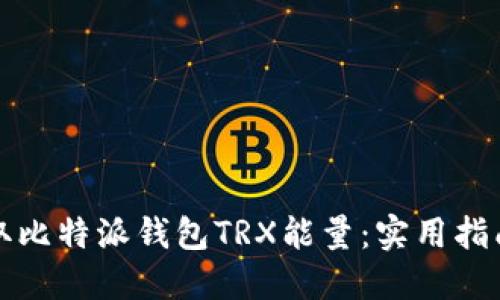 如何获取比特派钱包TRX能量：实用指南与技巧