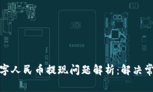 flex数字人民币提现问题解析：解决常见疑惑