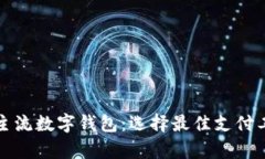 全面解析国内主流数字钱