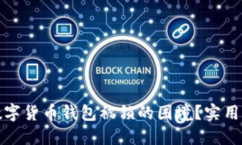 如何应对数字货币钱包被锁的困境？实用指南与建议