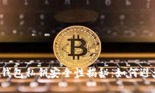 区块链钱包私钥安全性揭秘：如何避免被盗？