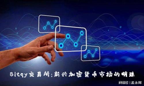 Bitqy交易所：新兴加密货币市场的明珠