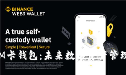 区块链SIM卡钱包：未来数字资产管理的新选择