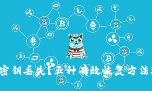 加密钱包密钥丢失？五种有效恢复方法助你应对！