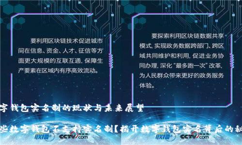 数字钱包实名制的现状与未来展望

哪些数字钱包不支持实名制？揭开数字钱包实名背后的秘密