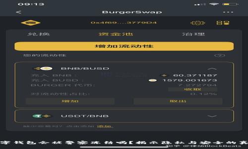 数字钱包会被警察冻结吗？揭示隐私与安全的真相