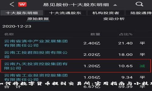如何将数字货币提到交易所：实用指南与小技巧