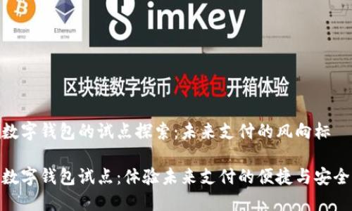 数字钱包的试点探索：未来支付的风向标

数字钱包试点：体验未来支付的便捷与安全