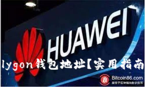 如何修改Polygon钱包地址？实用指南与详尽步骤