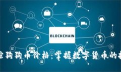 实时追踪狗狗币价格：掌