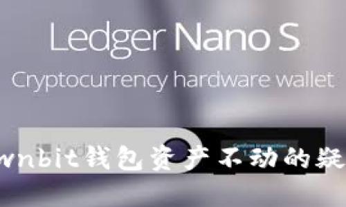 解决Ownbit钱包资产不动的疑难问题
