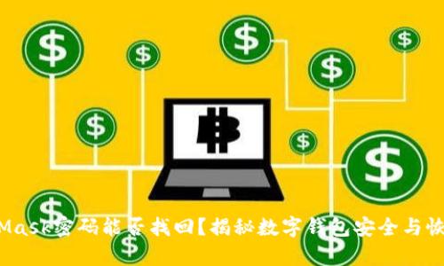  MetaMask密码能否找回？揭秘数字钱包安全与恢复策略