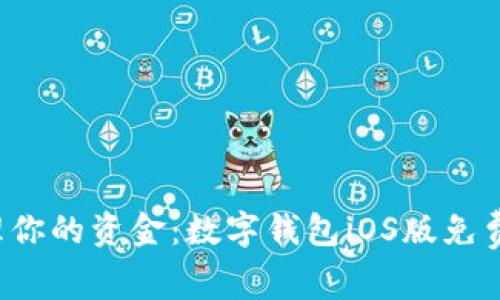  轻松管理你的资金：数字钱包iOS版免费下载指南