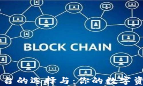 
USDT交易所平台的选择与：你的数字资产投资新机会