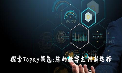 探索Topay钱包：您的数字支付新选择