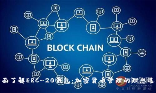 全面了解ERC-20钱包：加密货币管理的理想选择