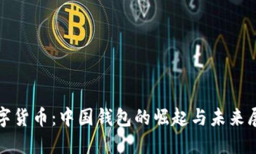 数字货币：中国钱包的崛起与未来展望