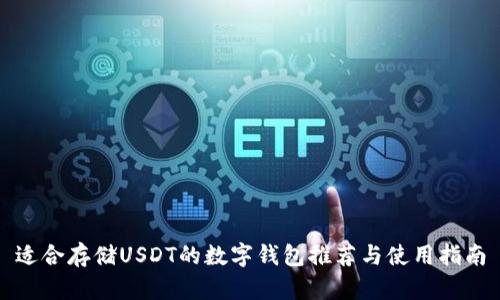 适合存储USDT的数字钱包推荐与使用指南