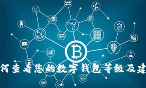 如何查看您的数字钱包等级及建议