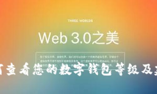 如何查看您的数字钱包等级及建议