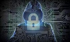 区块链钱包的总数是一个