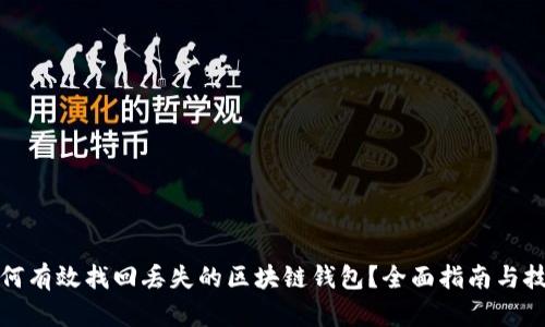 如何有效找回丢失的区块链钱包？全面指南与技巧