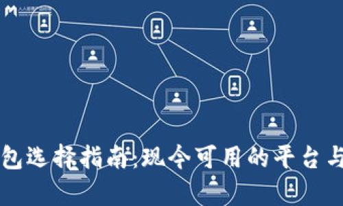 区块链钱包选择指南：现今可用的平台与优势分析