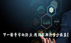 下一轮牛市的潜力：我们