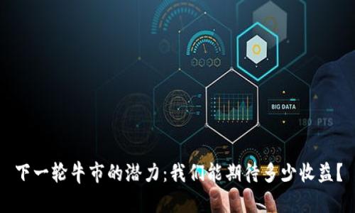 下一轮牛市的潜力：我们能期待多少收益？