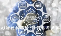 揭开UX Portal的神秘面纱：