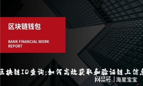 区块链ID查询：如何高效获取和验证链上信息