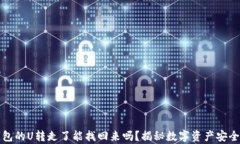 冷钱包的U转走了能找回来