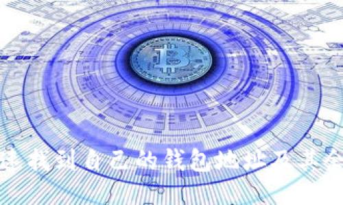 如何快速找到自己的钱包地址及其余额信息