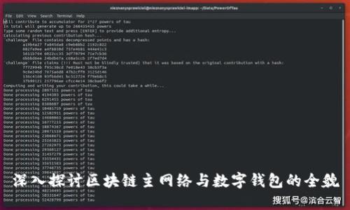 深入探讨区块链主网络与数字钱包的全貌