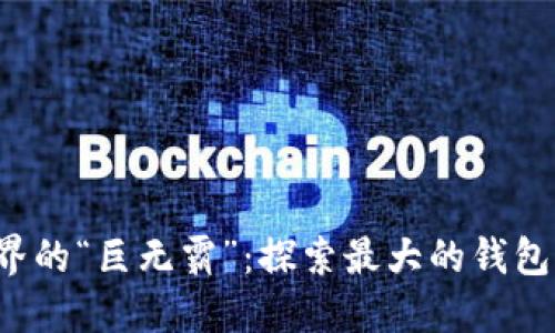  区块链世界的“巨无霸”：探索最大的钱包及其影响力